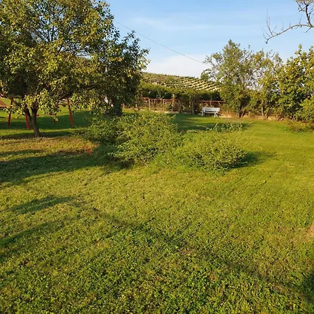 Il Grappolo With Pool Casa vacanze Alice Bel Colle